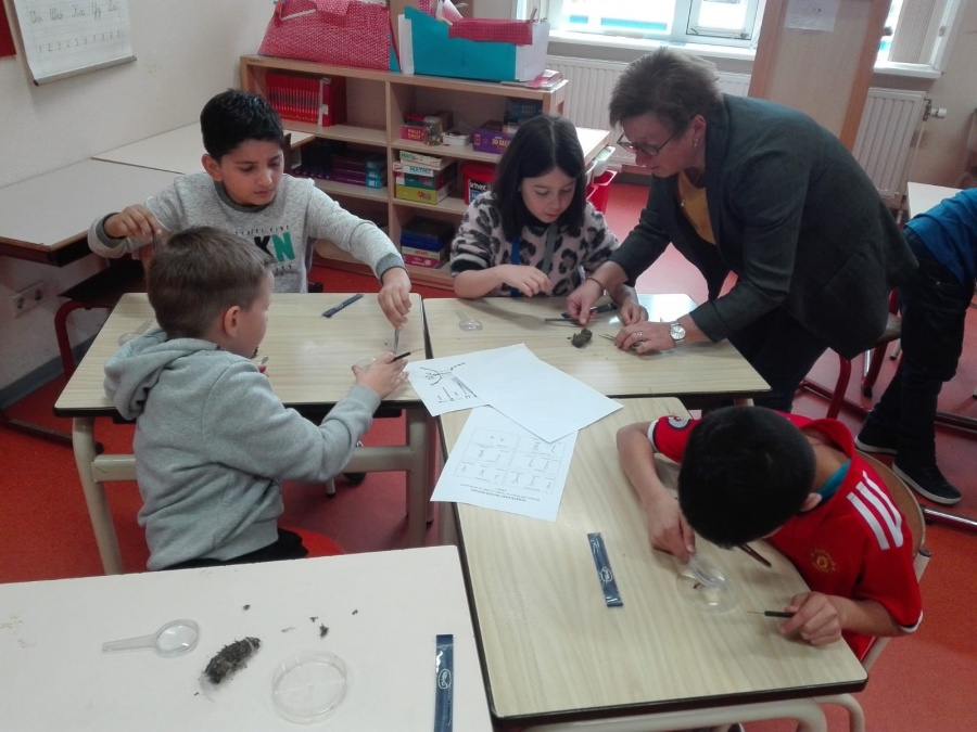 Braakballen uitpluizen gr 5 t/m 8